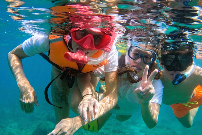 Snorkeling With Turtles in Fujairah With BBQ Lunch - Common Questions