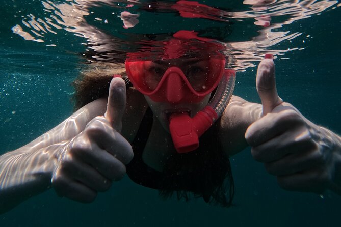 Snorkeling With Turtles in Fujairah With Transfer & BBQ Lunch - Additional Information and Help Center