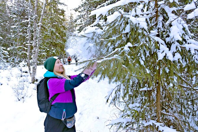 Snowshoe Tour in Winter Wonderland - Oslo - The Sum Up