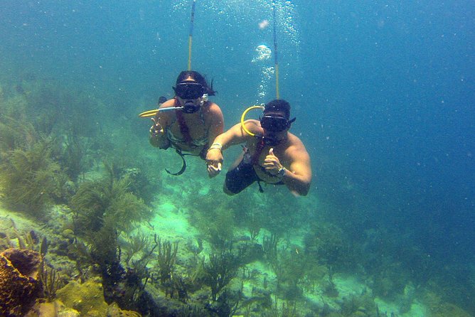Snuba Adventure at Coral World Ocean Park - Exploring the Vibrant Coral and Abundant Sea Life at Coki Beach
