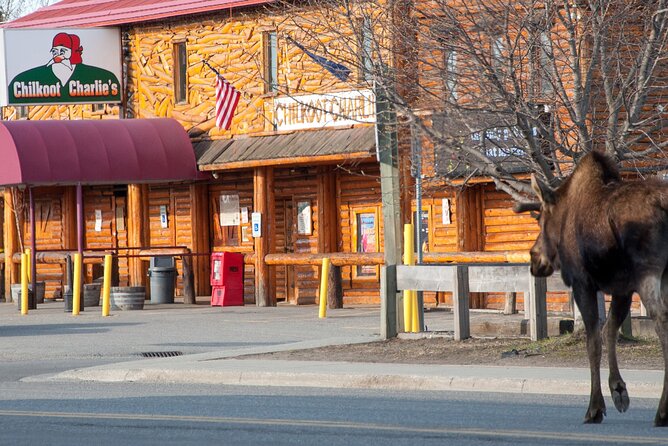 Spenard Neighborhood FOOD & TRUE CRIME Walking Tour - The Sum Up