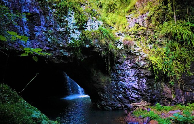 Springbrook National Park Shared Waterfalls Tour  - Surfers Paradise - The Sum Up