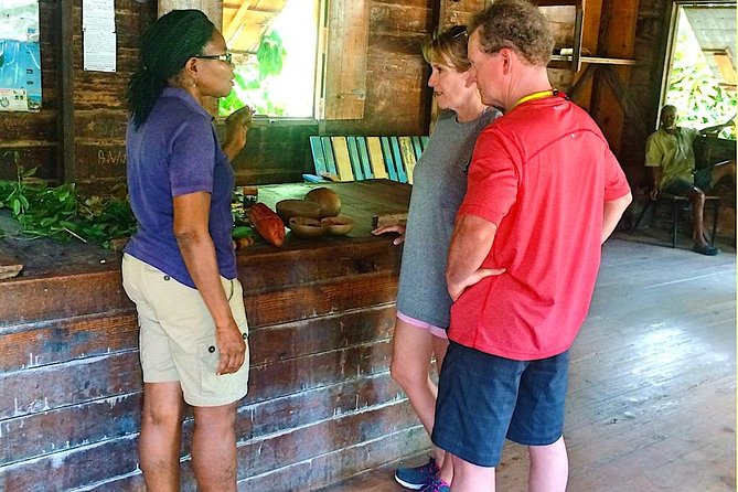 St. George Private Sightseeing Tour  - Grenada - Enhancements and Improvements