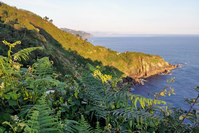 St.JAMES WAY, Basque WHALERS and HONDARRIBIA - Private Cultural Adventure - The Sum Up