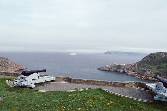 St. Johns, Quidi Vidi Village & Signal Hill Small Group Tour - Common Questions