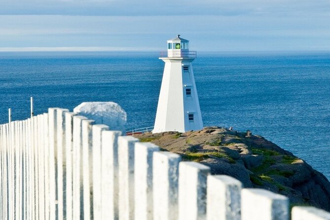 St. John'S Small Group Tour With Iceberg Quest Boat Cruise - The Sum Up