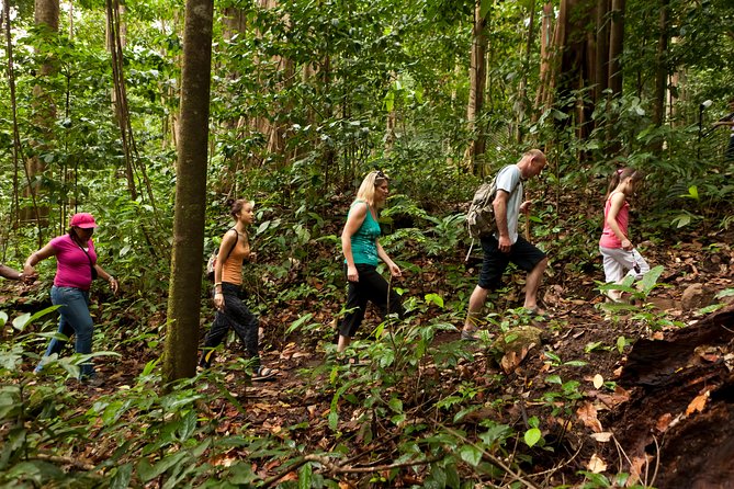 St Lucia Jacquot Trail Hike at Rainforest Adventures - Good To Know