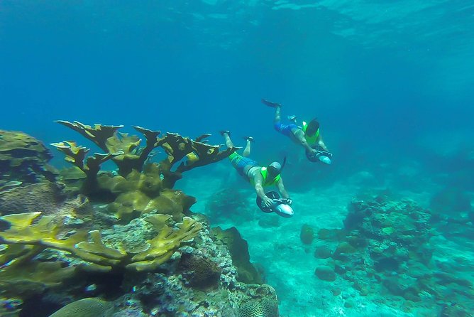 St. Lucia Speedboat and Power Snorkel From Castries - Testimonials From Satisfied Customers