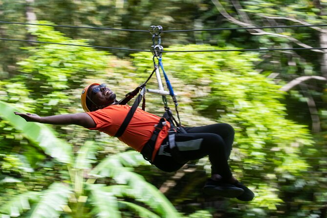 St Lucia Ultimate 3: Aerial Tram, Zipline and Hiking at Rainforest Adventures - Zip Lining Experience and Tram Ride
