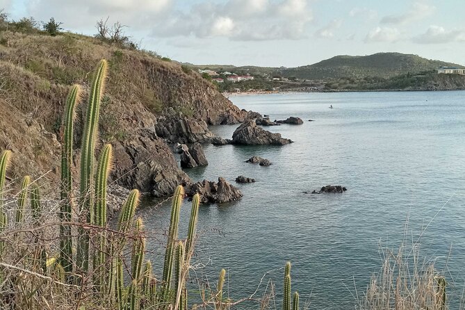 St.Martin - St. Maarten: Small Group, Coastal Hike & Swim Tour - Common Questions