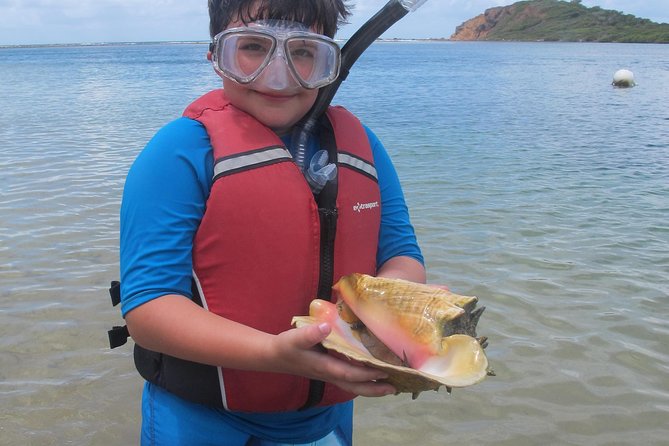 St Thomas Mangrove Lagoon Kayak and Snorkel Tour in the US Virgin Islands - The Sum Up