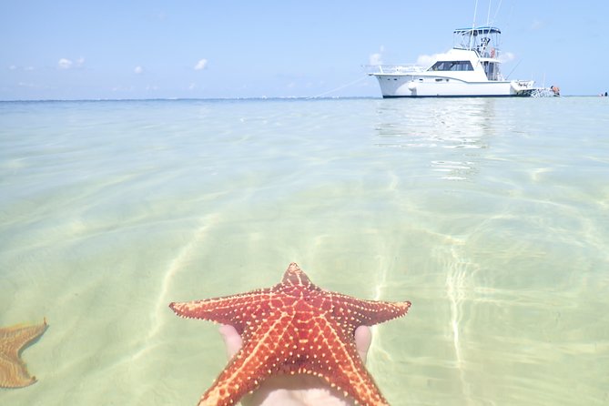 Starfish Point, Stingray City and Coral Garden (3-Stop Adventure) - Common Questions