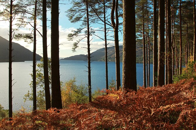 Stirling Castle, Loch Lomond and Cruise Day Tour From Glasgow - The Sum Up