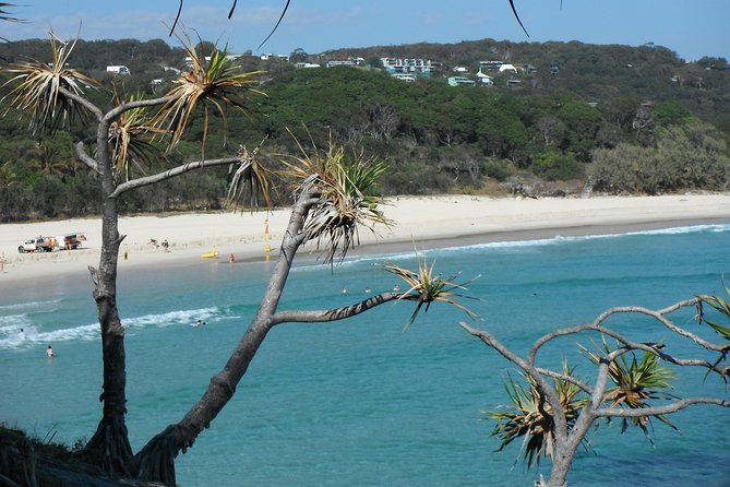Stradbroke Island 4WD Day Trip From Brisbane - Reviews and Pricing
