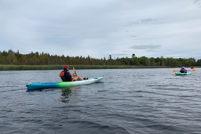 Sturgeon Bay Wetlands Kayak Tour  - Green Bay & Door County - The Sum Up