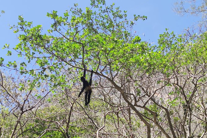 Sumidero Canyon & Chiapa De Corzo From Tuxtla, Tuxtla Airport and San Cristobal. - Tour Details and Inclusions