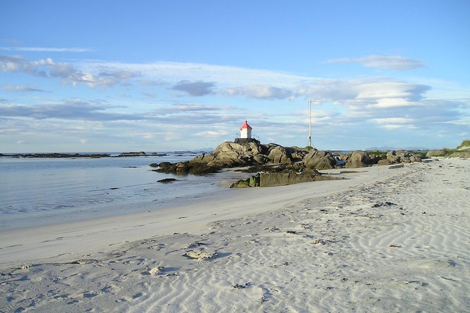 Summer Full-Day Guided Tour of the Lofoten Islands - Traveler Photos and Reviews