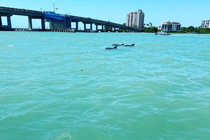 Sunset and Dolphin Cruise Around Fort Myers Beach - Common Questions