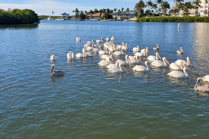 Sunset and Dolphin Tour, Fort Myers Beach and Sanibel Lighthouse - Location