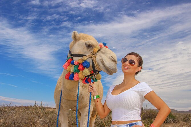 Sunset Beach Camel Ride With Mexican Buffet and Tequila Tasting - Mexican Buffet and Tequila Tasting Highlights