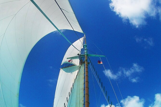 Sunset & Champagne Cruise on a Classic Schooner With Boat Dogs - Booking Information and Price Details