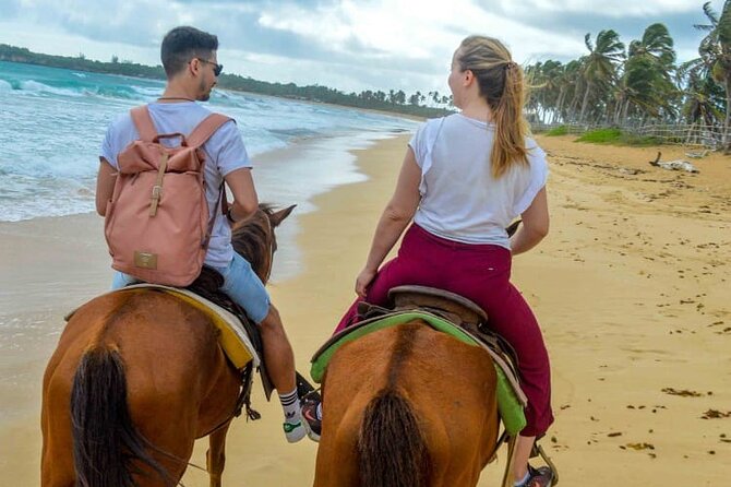 Sunset Horseback Riding Tour From Punta Cana - Negative Experiences and Complaints