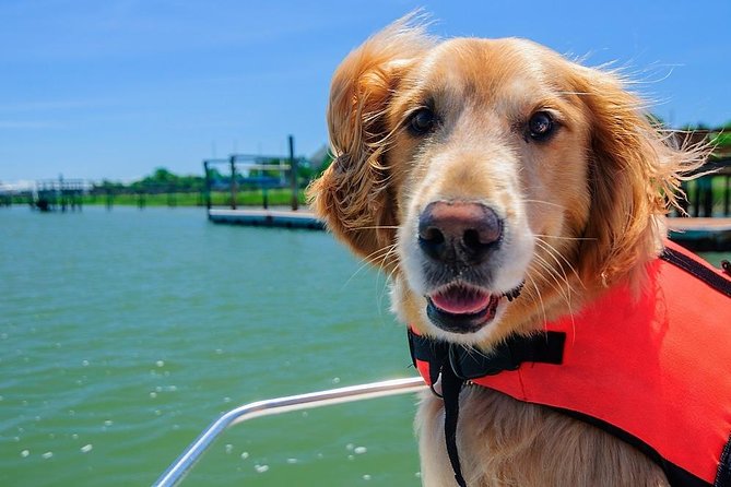 Sunset Private Boat Trip in Naples FL With Secluded Island Stop With Your Dog - Overview and Inclusions
