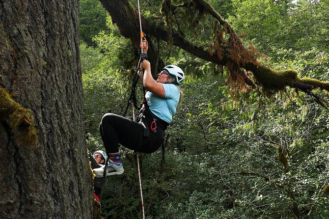 Sunset Tree Climb at Silver Falls State Park - Fitness Level and Group Size