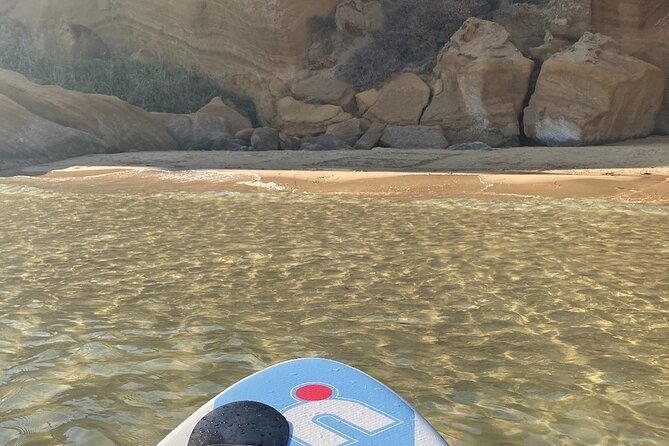 SUP Paddle Tour in Torre Salsa WWF Oasis Nature Reserve - The Sum Up