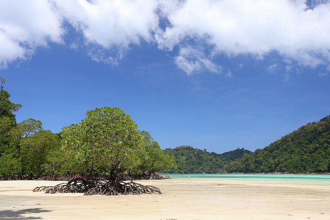 Surin Islands 2 Days 1 Night Trip From Phuket - Reviews