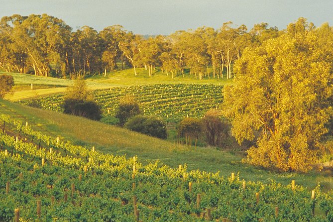 Swan Valley Private Tour - Directions