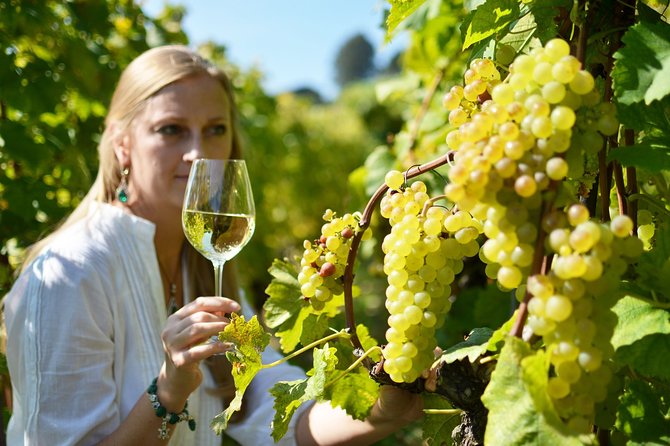 Swiss Wine Tasting at Lavaux Vineyards: Private Trip From Geneva - Questions