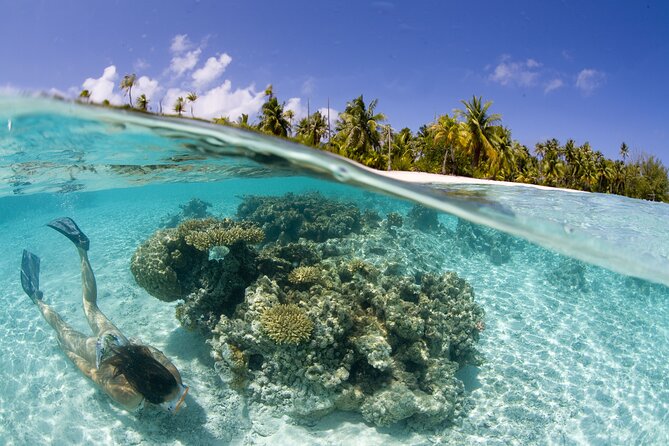 Tahaa Lagoon Tour -Departure Raiatea-Small Groups (Max 12 P) - Traveler Reviews and Ratings