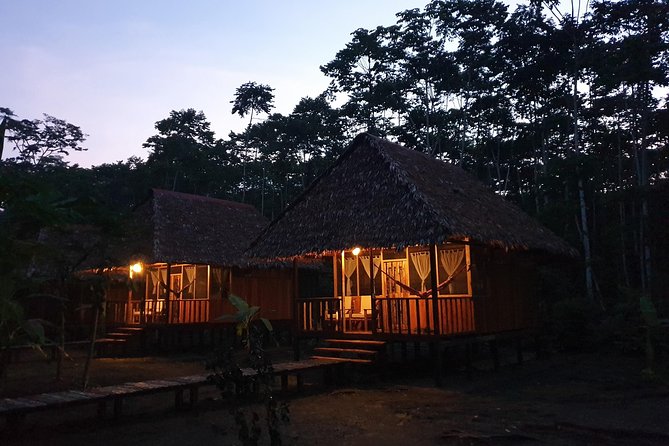 Tambopata Reserve Small-Group 4-Day Tour  - Puerto Maldonado - The Sum Up