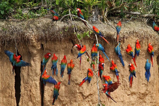 Tambopta National Reserve 5 Days Tour - Common Questions