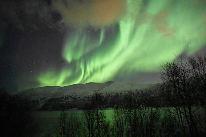 The Aurora Tour - Small Group 4 Ppl, Northern Lights - The Sum Up