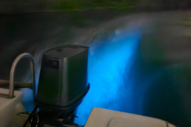 The Best Thing to Do in Tobago at Night Bioluminescence Tour. - How to Book Your Bioluminescence Tour