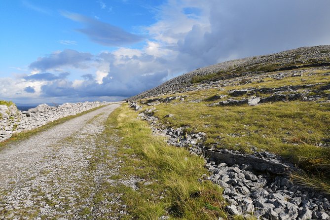 The Burren and Cliffs of Moher Full Day Private Tour From Galway - Private Tour With Local Guide