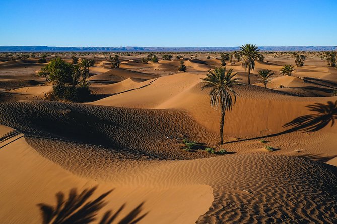 The Caravan of the Desert, 7 Days of Travel Including 6 Days on Foot - Day 6: Reaching the Final Destination