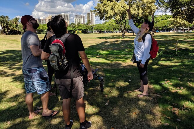 The East Waikiki Walking Tour - Start Time and Meeting Point