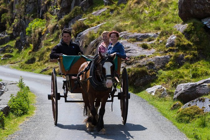 The Gap of Dunloe Full-Day Tour From Killarney - Tips and Recommendations