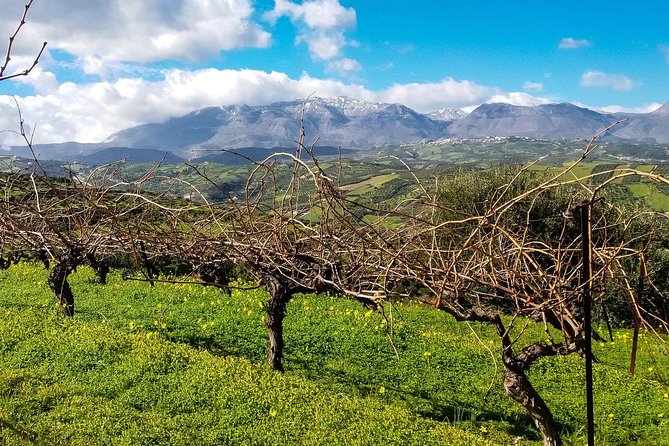 The Gourmet Wine Tour of Heraklion Area - Full-Day Wine Tour From Heraklion
