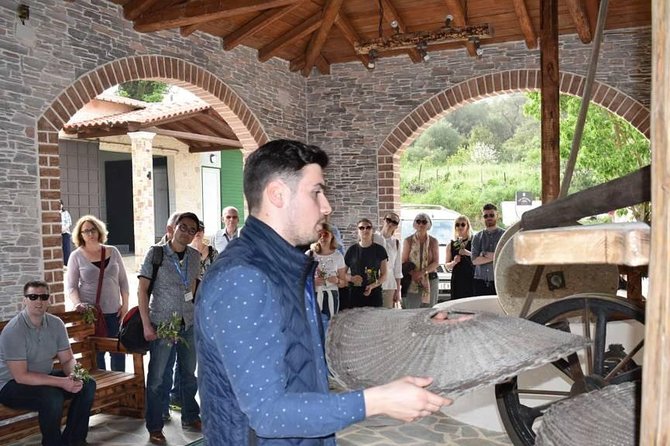 The Governor Olive Mill Tour With Olive Oil Tasting - The Sum Up