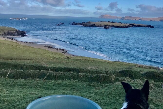 The Great Blasket Island Experience - The Sum Up