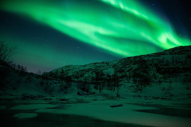 The Longest Northern Lights Tour in Abisko With Dinner - Tour Experience