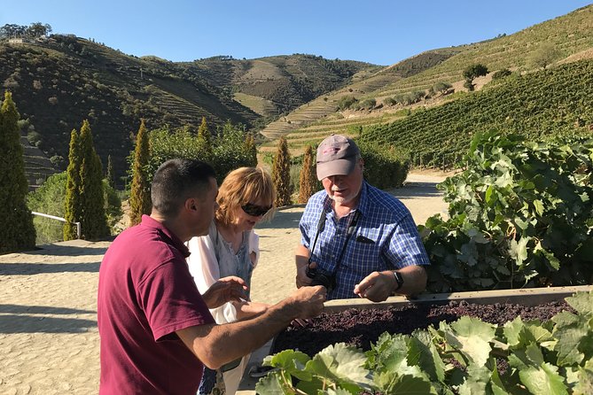The Luxury Douro Tour - The Sum Up