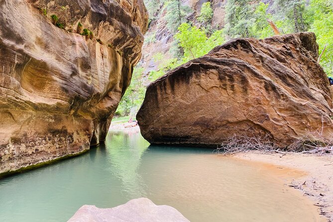 The Narrows: Zion National Park Private Guided Hike - Wildlife and Vegetation in the Narrows