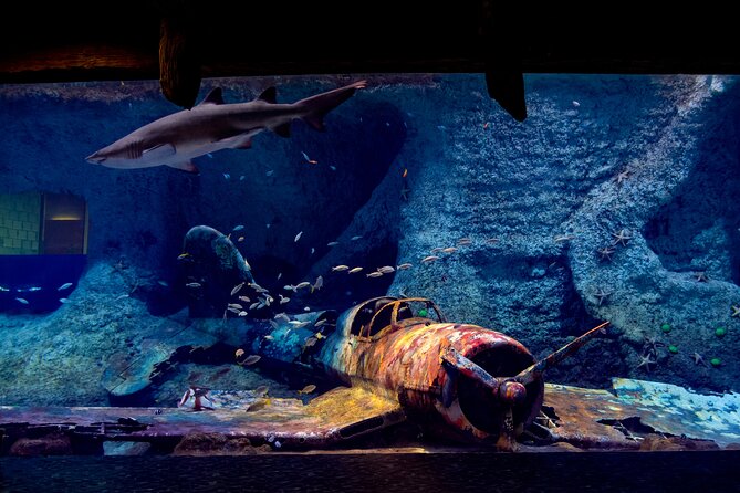 The National Aquarium Abu Dhabi Admission Tickets - Attractions and Experiences