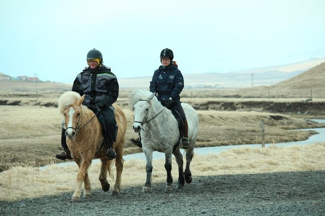 The Viking North Iceland Horse Riding in Winter Experience - Common Questions