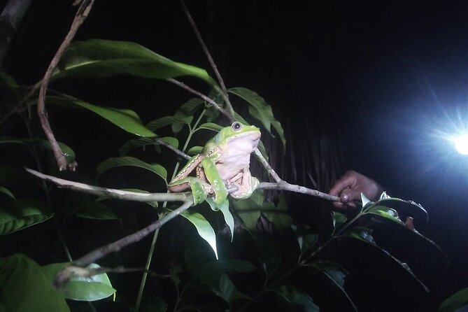 The Wild Adventure 4 Days "Green Wild Amazon Expedition" - Common Questions